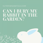Can I Bury my Rabbit in the Garden