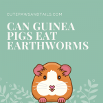 Can Guinea Pigs Eat Earthworms