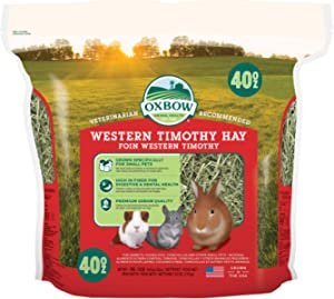 Oxbow Animal Health's Western Timothy Hay Review