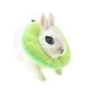 Best Cone for Rabbits