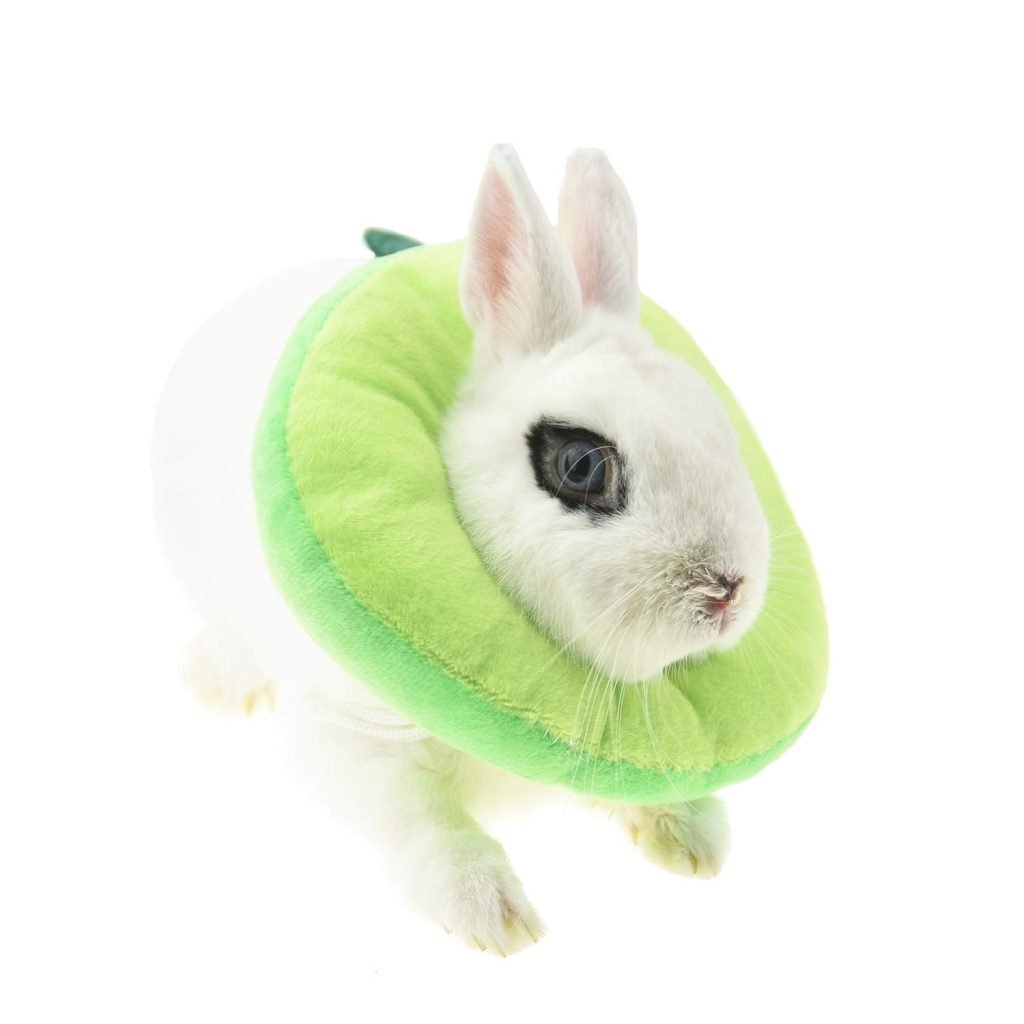 Best Cone for Rabbits