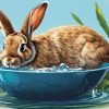 Teach Rabbits to Drink from Bowls