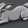 Can Your Bunny’s Tail Get Broken? Understanding the Risks